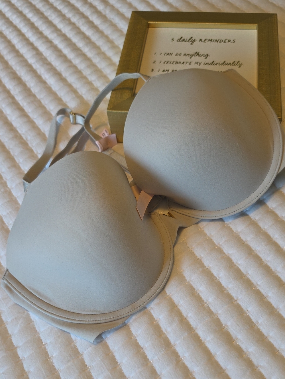 Victoria's Secret Light Gray Padded T-Shirt Bra